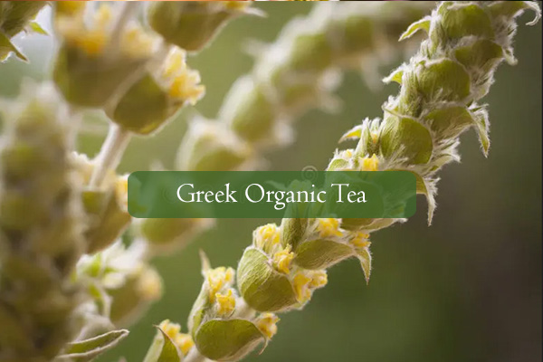 Organic Tea