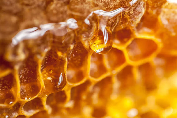 Organic Honey
